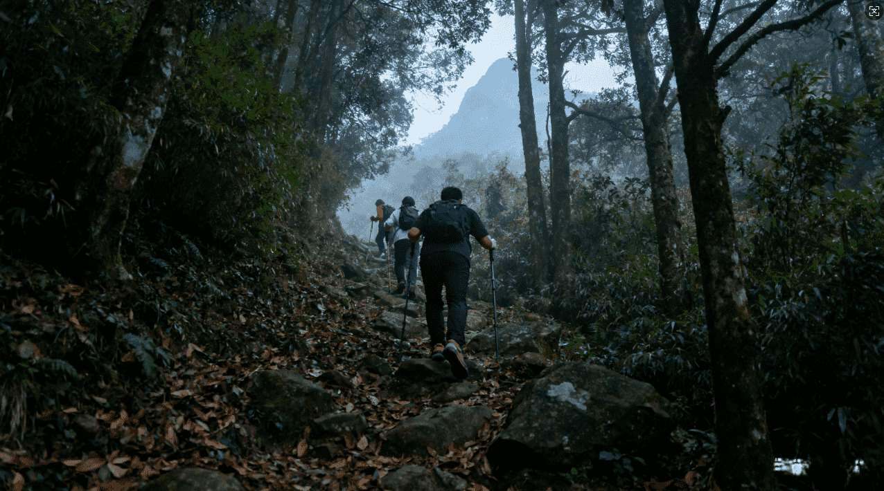 如何通过VPN实现免费网络流量获取的详细方法介绍